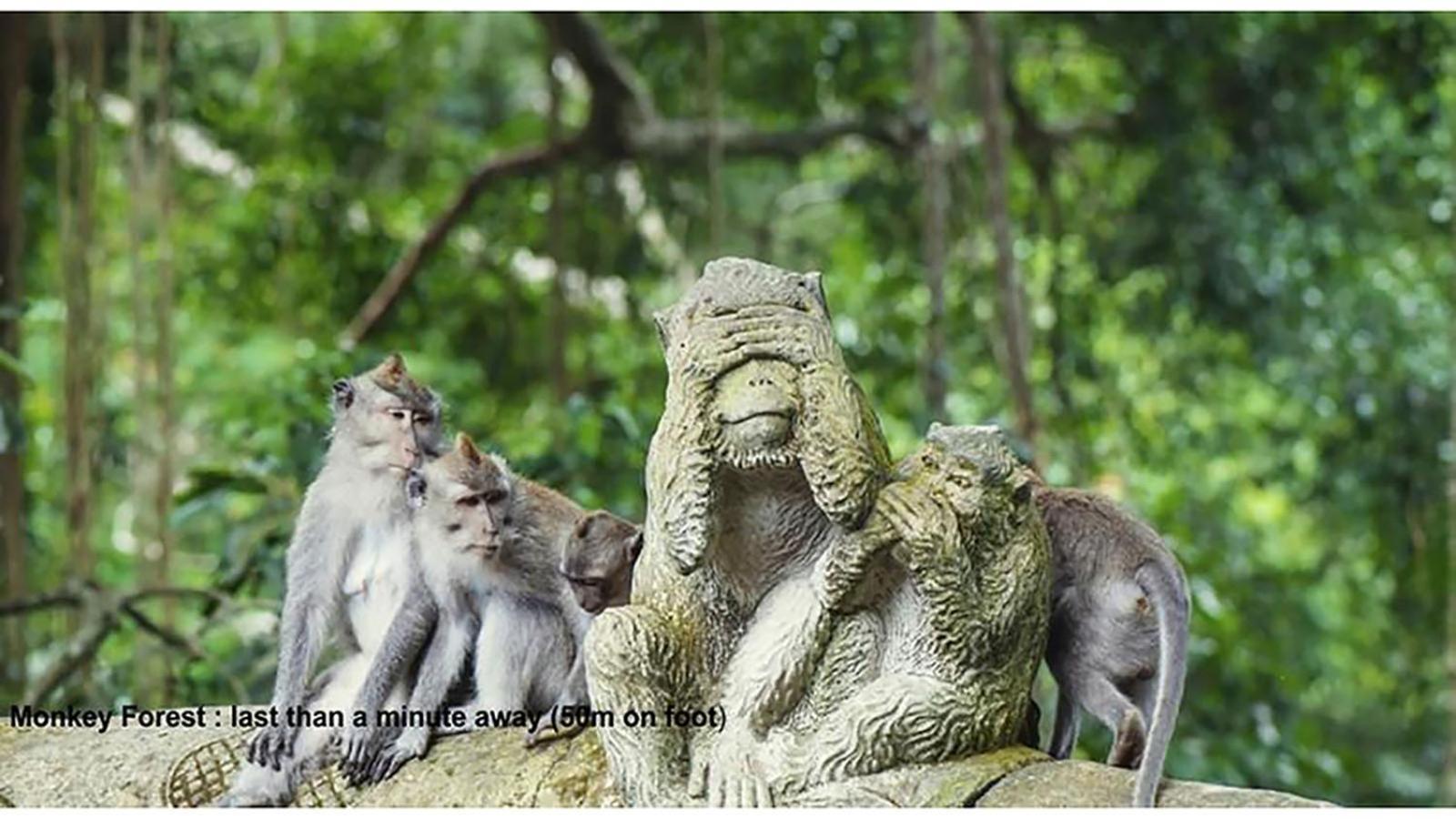 Pande Permai Bungalows Ubud Exteriér fotografie